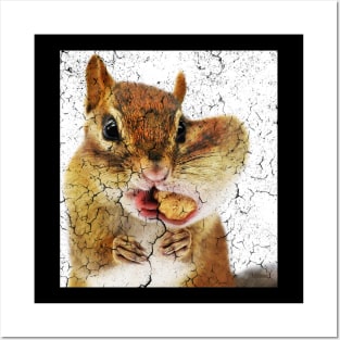 CUTE SQUIRREL FACE Posters and Art